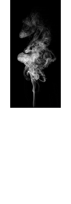 Rauch